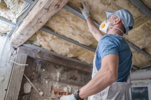 Best Residential Insulation Services  in Lemont Furnace, PA