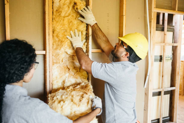 Best Insulation Contractors for Homes  in Lemont Furnace, PA