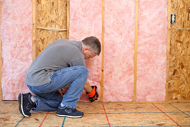 Best Insulation Repair Services  in Lemont Furnace, PA